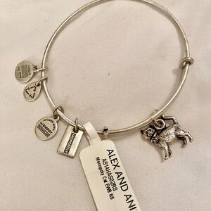 Alex and Ani Monopoly Cat EWB bracelet